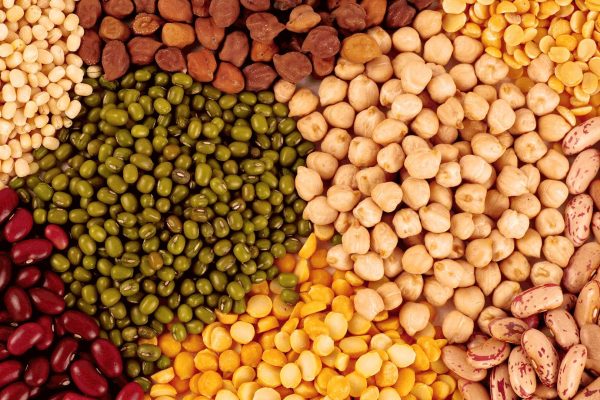 Pulses Export